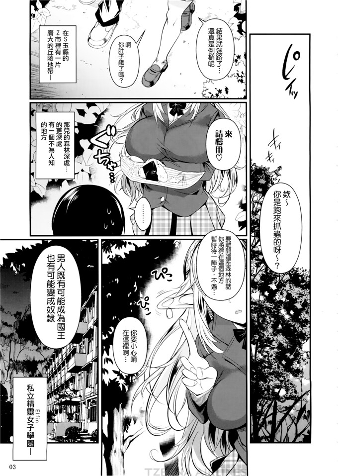 フエタキシ合集h漫画：高精灵×高校