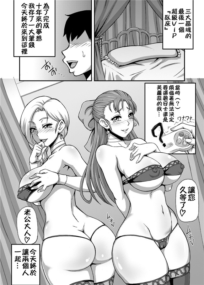 本子库肉番漫画之[もつ料理 (もつ)]DragonQueens工口本子(ドラゴンクエスト)