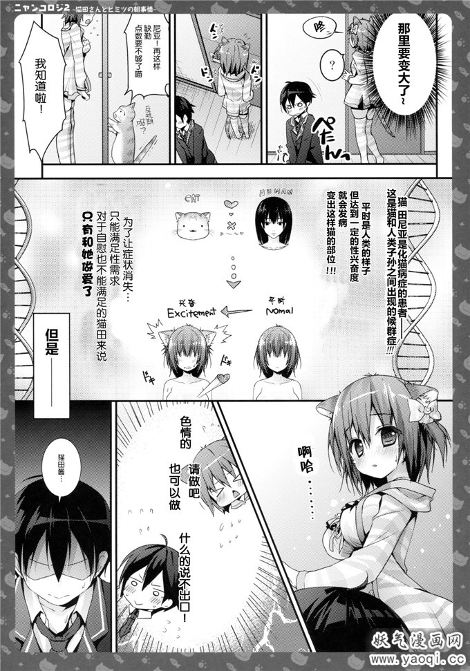 少女漫画之猫田尼亚本子:Nyancology 2 Nekota-san to Himitsu no Asa